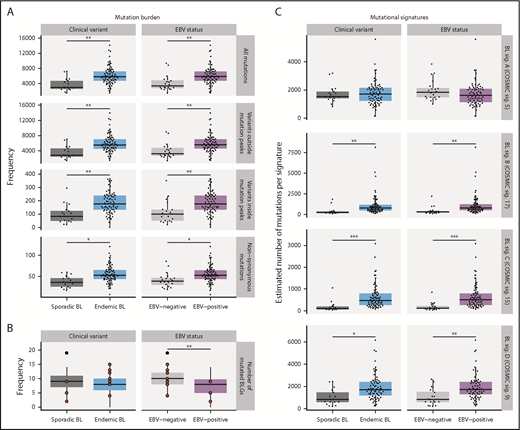Figure 5. Mutational processes in BL. (A) Mutation frequency is shown for each disease subtype. From top to bottom, the following SSMs are considered in each tumor: all genome-wide SSMs, SSMs outside noncoding mutation peaks, SSMs within peaks, and nonsynonymous SSMs in all protein-coding genes. This analysis was restricted to WGS data from the BLGSP discovery cohort (N = 91). (B) Number of BLGs that are mutated in each BLGSP discovery and validation case (N = 120). All mutation types were considered, as displayed in Figure 4. Discordant cases are highlighted as red points. The number of mutated BLGs was compared using Mann-Whitney U tests (**P < .001). (C) Estimated number of single-nucleotide variants is shown per mutational signature for each disease subtype in the BLGSP discovery cohort (N = 91). The 4 de novo mutational signatures (BL sig.) are annotated with the associated COSMIC reference signature (COSMIC sig.). ICGC cases were excluded to avoid the possible confounding effect of lower sequencing coverage. Significance brackets (panels A and C): *Q < 0.1; **Q < 0.001; ***Q < 0.00001 (Mann-Whitney U test).