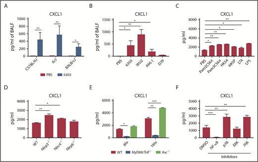 Figure 1. S pneumoniae-induced CXCL1 production requires activation of TLR and NF-kB signaling. (A) C57BL6/J, A/J and BALB/c mice were inoculated intratracheally with 5 × 104 CFU S pneumoniae 6303. (B) C57BL6/J mice were infected intratracheally with S pneumoniae strain 6303 (5 × 104 CFU), A66.1 (2 × 105 CFU), WU2 (5 × 107 CFU), and D39 (5 × 104 CFU) strains or PBS. (A-B) Mice were euthanized at 48 hours postinfection, and CXCL1 was measured in BALF. (C) BMDMs from WT mice were generated as described in supplemental Methods. BMDMs were pretreated with TLR agonists Pam2CSK4 (500 ng/mL), Pam3CSK4 (500 ng/mL), HKSA (108/mL), HKSP (108/mL), LTA (5 μg/mL), and LPS (500 ng/mL) for 4 hours and infected with S pneumoniae 6303 (MOI 10) for 8 hours. CXCL1 level was measured in the supernatant. (D) BMDMs from WT, Nlrp3−/−, Nlrc4−/−, and Nlrp6−/− were infected with S pneumoniae 6303 (MOI 10) for 8 hours. CXCL1 was measured in supernatant. (E) BMDMs from WT, MyD88/Trif−/−, and Asc−/− were infected with S pneumoniae 6303 (MOI 10) for 8 and 18 hours. CXCL1 was measured in supernatant. (F) WT BMDMs were pretreated with 10 μM of inhibitors of NF-κB, p38 (SB203580), JNK (SP600125), ERK (PD098059), or dimethyl sulfoxide and then infected with S pneumoniae 6303 (MOI 10) for 8 hours. CXCL1 was measured in the supernatant. All experiments were performed 3 times. (n = 5-6 mice/infection group; n = 3 mice/control group). In vitro experiments have at least 4 biological replicates. Statistical significance was determined by 1-way ANOVA (followed by Bonferroni’s post hoc comparisons). *P < .05; **P < .01; ***P < .001. HKSA, heat-killed S aureus; LTA, lipoteichoic acid; MOI, multiplicity of infection.