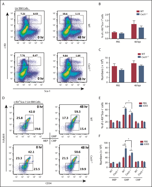 Figure 4. Cxcl1−/− mice have reduced amplification of early granulocyte precursors in pneumococcal lung infection-induced emergency granulopoiesis. (A-F) WT and Cxcl1−/− mice were infected intratracheally with S pneumoniae 6303 (5 × 104 CFU). FACS analysis plot (A), percentage (B), and number (per femur/tibia) (C) of hematopoietic stem cells ((c-Kit+Sca-1+Lin−) at 48 hours postinfection. FACS dot plot (D), percentage (E), and number (per femur/tibia) (F) of myeloid progenitor cells (c-Kit+Sca-1−Lin−) at 48 hours postinfection (n = 5-6 mice/infection group; n = 3 mice/control group). All experiments were performed 3 times. Statistical significance was determined by unpaired Student t (B-C,E-F). *P < .05; **P < .01.