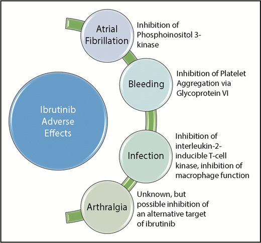 Figure 1. Proposed mechanisms for ibrutinib-related adverse events.