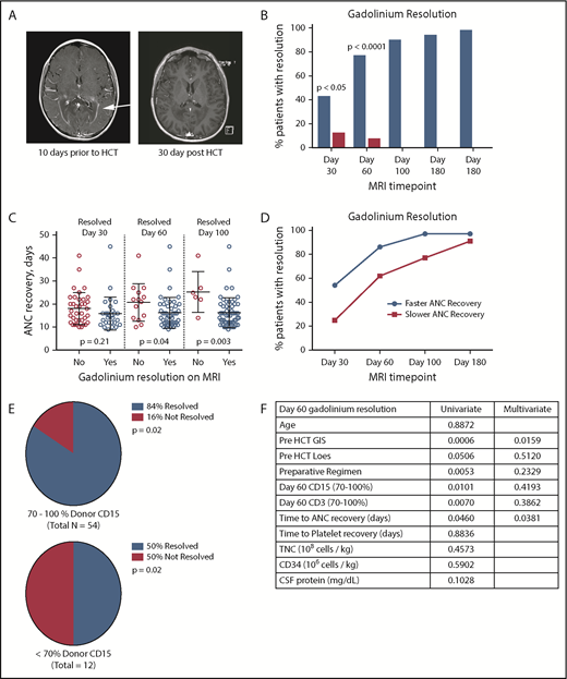 Figure 1. Gadolinium resolution on brain MRI correlates with donor neutrophil recovery in cALD patients. (A) Example of a T1-weighted MRI showing a classic ring of gadolinium contrast (arrow; left panel). An MRI exhibiting complete gadolinium contrast resolution 30 days after HCT (right panel). (B) Percentage of patients having complete gadolinium resolution at the indicated time points after HCT. The blue columns represent patients with neutrophil recovery and single HCT, and the red columns represent patients who failed to engraft. (C) Day of neutrophil recovery for patients with contrast resolution at the indicated cumulative time points post-HCT. (D) Frequency of contrast resolution between patients who had ANC recovery ≤ 16 days (faster) vs >16 days (slower). (E) Frequency of contrast resolution in cALD patients with higher CD15 chimerism (70-100%) vs lower CD15 chimerism (<70%) at 60 days post-HCT. (F) Table of pre-HCT and HCT parameters with univariate analysis P values. Variables used in the multivariate analysis model are in bold type. All P values were derived using Fisher’s exact test.
