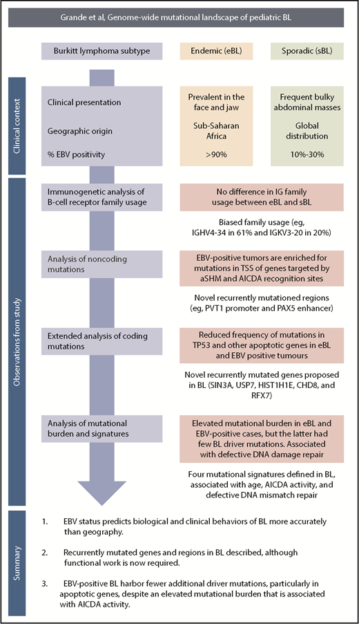 A schematic overview of the clinical context, study observations, and main findings. TSS, transcription start site.