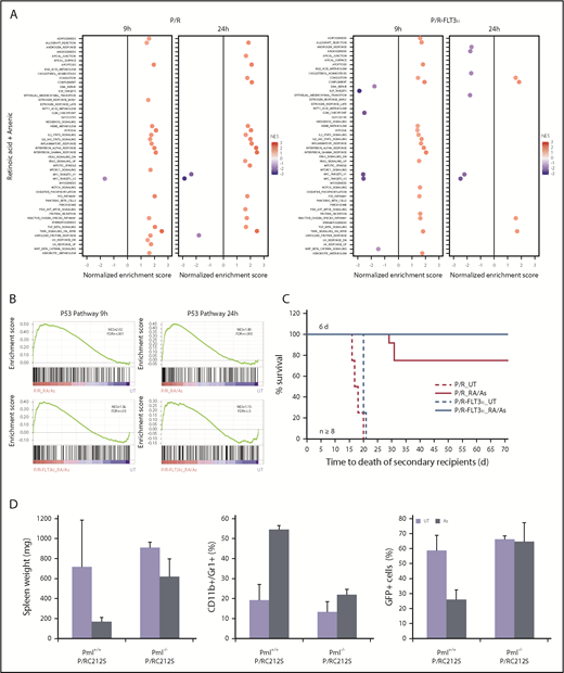 Figure 6. Combined ATRA/As treatment overcomes FLT3-ITD-triggered resistance. (A) GSEA analysis for 50 hallmark gene sets between P/R and P/R-FLT3ki mice treated during 9 or 24 hours with ATRA/As. Only significant pathways were represented (with FDR.q.val <0.05) according to NES value. (B) GSEA analysis of the p53 pathway in P/R and P/R-FLT3ki mice treated during 9 or 24 hours with ATRA/As. NES and FDR are noted. FDR.q.val <0.05 are in bold. (C) Survival of secondary recipients transplanted with APL bone marrow cells from ATRA/As 6-day-treated primary APL mice in both models (n ≥ 8 for each model). (D) Comparison of spleen weight (left), differentiation (CD11+/Gr1+, middle) and blast clearance (GFP+, right) of untreated (UT) or As 7-day-treated APL mice with MRP8-PML/RARAC212S in Pml+/+ or Pml−/− genetic background. Data are expressed as mean ± standard deviation of at least 2 independent experiments.
