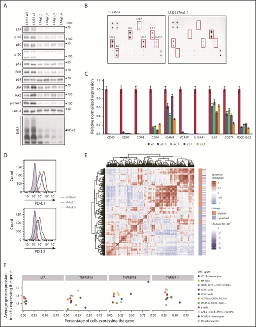 Figure 2. LTA drives NF-κB and JAK/STAT activation and constitutes a mixed lymphoid/myeloid gene-expression program in cHL cells. (A) Whole-cell extracts of L1236 wild-type (WT), control (v2), and 2 LTA-KO clones for each gRNA (LTAg2 and LTAg3) were analyzed in western blots for expression and phosphorylation of indicated proteins. Nuclear extracts of control and KO cells were assessed for NF-κB DNA binding activity by EMSA (bottom panel). (B) L1236 control and LTA clonal KO cells (g2_1) were cultivated at a cell density of 5 × 105 cells per milliliter in RPMI 1640 without fetal calf serum. The medium was collected after 24 hours, and cytokine secretion was analyzed using the Cytokine Array C3. (C) L1236 control cells or the indicated LTA-KO clones were cultured for 72 hours. Expression levels of indicated target genes were verified by real-time quantitative polymerase chain reaction. Error bars represent the standard error of the mean. (D) PD-L1 and PD-L2 cell surface expression levels were analyzed by flow cytometry. Filled curve: isotype control. (E) Coexpression analysis of LTA target genes in healthy PBMCs.21 Heat map shows the similarity between expression profiles of each pair of LTA target genes. Positive correlation between 2 genes is designated by the intensity of the red color, whereas the blue gradient designates negative correlation (genes with more similar expression profiles are positioned closer on the heat map). Red blocks show the existence of gene-regulatory modules. Based on their level of expression, genes were annotated as expressed primarily in the lymphoid lineage or the myeloid lineage (orange/green annotation). (F) Expression of LTA and LTA receptors in PBMCs. The x-axis shows the percentage of cells in a cell population that express the corresponding gene. The y-axis shows the average gene expression in expressing cells. Cell populations expressing the gene in <1% of the cells were removed from the visualization. The color depicts the cell type.