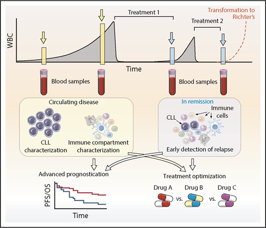 Figure 4. Clinical application of single-cell technologies for CLL. Single-cell approaches allow for deeper characterization of leukemic and immune cells to help aid prognostication, optimize and rationalize treatments, and modulate the immune system to enhance potential immunotherapeutic approaches at diagnosis and relapse. At diagnosis or during follow-up, monitoring can identify clones that represent higher risk, and appropriate treatment can be instituted or defects within immune cells can be characterized and then addressed. After treatment, single-cell approaches have the potential to detect relapse earlier, identify the underlying resistance-driving mutations, and select the optimum strategy for overcoming the problem. An ever-present clinical concern is Richter’s transformation, in which single-cell approaches may also be able to help with earlier diagnosis and treatment optimization. This approach is not limited to CLL but has applicability across the range of hematologic malignancies. PFS, progression-free survival; OS, overall survival; WBC, white blood cell.