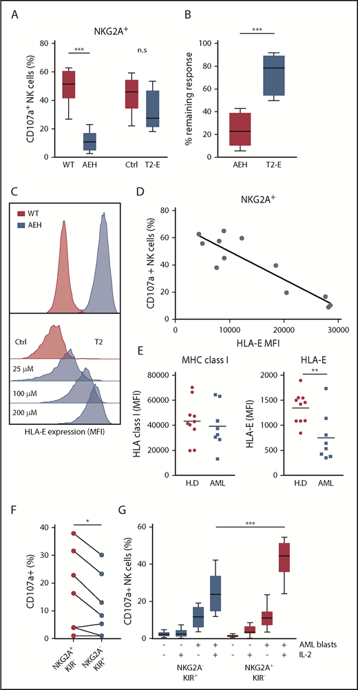 Figure 2. NKG2A+ NK cell responses toward HLA-E–expressing cell lines and AML blasts. (A) Degranulation responses of IL-2–stimulated NKG2A+ NK cells (n = 8) toward .221-WT, .221-AEH, T2 cells without HLA peptide (Ctrl), and T2 cells with HLA peptide (T2-E). (B) Comparison of remaining response of NKG2A+ NK cells with the presence of HLA-E compared with the response observed in the HLA-E− control cell lines. (C) HLA-E expression in .221-WT and .221-AEH cells and titration curve with HLA peptide of HLA-E expression in T2 cells. (D) Percentage of CD107a+ cells among IL-2–activated NKG2A+ NK cells after exposure to T2 cells with indicated HLA-E expression. (E) Expression of MHC class I and HLA-E on PBMCs from healthy donors (n = 10) and on CD34+ AML blasts (n = 8). (F) Frequency of CD107a+ NK cells in indicated NK cell subsets against HLA-matched CD34+ AML blasts from 8 patients. (G) Frequency of CD107a+ NK cells (unstimulated, n = 10; IL-2 stimulated, n = 12) in indicated NK cell subsets against HLA-matched CD34+ AML blasts from 2 patients that triggered substantial degranulation in (F). n.s, not significant. *P < .05, **P < .005, ***P < .0005.