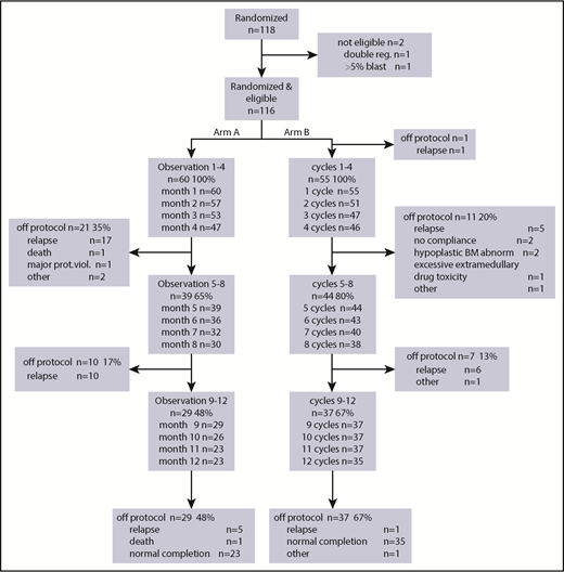 Figure 2. CONSORT study diagram. Arm A, observation; Arm B, azacitidine maintenance. The main reason for failure to complete protocol was intercurrent relapse.