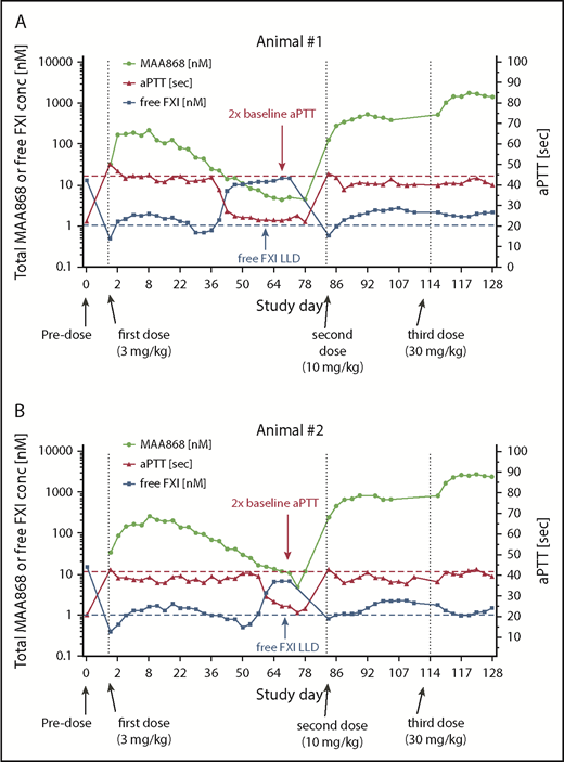 Figure 4. MAA868 prolongs aPTT in cynomolgus monkeys and inversely lowers FXIf when dosed SC. MAA868 was administered subcutaneously to 2 female cynomolgus monkeys at 3, 10, and 30 mg/kg on days 1, 85, and 114, respectively. Two control animals received vehicle on days 1, 85, and 114. MAA868 plasma exposure, FXIf, and aPTT as a function of time are shown for the 2 individual animals (A) and (B) starting at 6 h postdose. Doubling of aPTT (2× baseline aPTT) and free FXI lower level of detection (LLD) are indicated by dashed lines. Total plasma MAA868 and FXIf were quantified by using custom sandwich immunoassays.