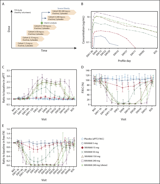 Figure 5. Single SC administration of MAA868 induced a sustained, dose-dependent anticoagulant effect in humans. (A) Depicts the design of the FiH study, a single ascending dose, randomized, subject- and investigator-blinded, placebo-controlled study. Healthy volunteers were recruited into consecutive cohorts and administered SC injections of placebo or increasing single doses of MAA868. In addition, a cohort (cohort 5B) of severely obese but otherwise healthy subjects received a single SC dose of 240 mg. (B) Plasma total MAA868 concentration–time profile of each cohort in a semi-logarithmic view; data are expressed as geometric mean ± standard deviation. Change of aPTT (C), FXI:C (D), and FXIf levels (E) are depicted over time for each cohort; data are expressed as ratio to baseline and displayed as geometric mean ± 95% CI. BAS, baseline; EoS, end of study (day 106).