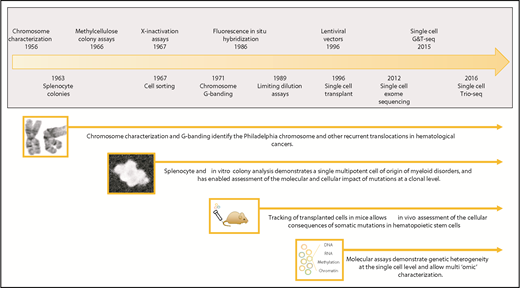 Figure 1. Timeline showing a selection of hematopoietic clonal approaches. Clonal approaches illustrated include chromosome characterization, hematopoietic colony assays, transplantation studies, and sequencing-based techniques. Major milestones in the development of these approaches are shown in the timeline.15,19,20,23,38,40,41,106-110 G&T-seq, genome and transcriptome sequencing; Trio-seq, single-cell triple omics sequencing.
