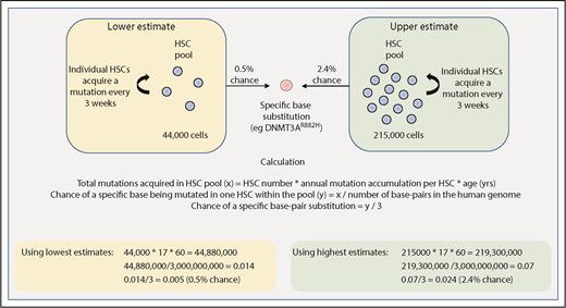 Figure 2. Estimating the chance of acquiring a specific driver mutation within any single HSC by 60 years of age. Calculations use estimates provided by Lee-Six et al44 for the total HSC population size (between 44 000 and 215 000 cells) and the rate of mutation acquisition in individual HSCs (estimated to be 1 mutation every 3 weeks, or 17 mutations per year). The total number of base pairs in the human genome is approximated at 3 billion.