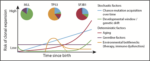 Figure 3. Factors influencing hematopoietic clonal expansion. A model of various stochastic and deterministic factors that may affect the likelihood of clonal expansion of a cell that has acquired a driver mutation. Combinations of risks at a given time point would additively affect the total risk. The impact of each factor, and thus the shape and angle of the depicted lines, would vary depending on the specific driver mutation. Pie charts show potential differences in the contribution of the various factors to clonal expansion in the context of different driver mutations.29,61,62,82
