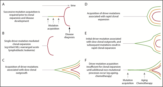 Figure 4. Dynamics of clonal evolution during the development of hematological malignancies. Little is known about the dynamics of clonal evolution following successive mutation acquisition. Six different models are presented (A-F). The horizontal axis is time and the vertical space represents clonal expansion. Green, orange, and red lines represent sequential driver mutation acquisition, with red representing the final malignant clone. The Armitage and Doll multistep model of cancer development,94 in which there is no premalignant clonal expansion, is shown in panel A. Rare, single-driver–mediated malignant transformation is shown in panel B. In models (panels C-F), each mutation results in sequential clonal expansion along a path to malignancy. However, the dynamics of clonal expansion show different patterns. MLL, mixed lineage leukemia.