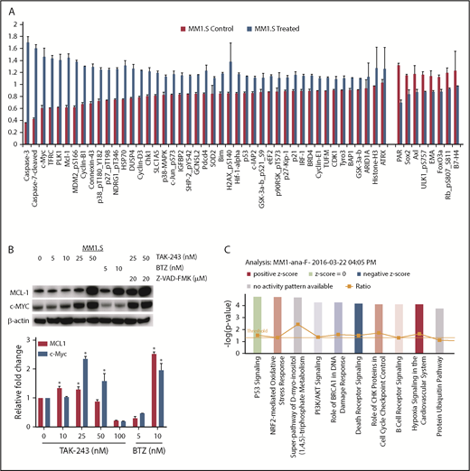 Figure 3. TAK-243 impacts on protein and gene expression profiles. (A) RPPA analysis was performed on MM1.S cells exposed to vehicle or TAK-243. The 45 proteins whose abundance was most enhanced are indicated at the left, whereas the right side shows the 8 whose abundance was most decreased. (B) Western blotting (top panel) was performed to confirm the changes in MCL-1 and c-MYC, with β-actin serving as a loading control. Bortezomib serves as a positive control, and studies were also performed in the presence of Z-VAD-FMK to determine a possible impact of activation of apoptosis on the abundance of these proteins. Changes in protein-expression levels were largely independent of any alterations in the abundance of the respective messenger RNAs (bottom panel). (C) Gene expression profiling was performed on TAK-243–treated cells, and the top 10 dysregulated pathways identified by Ingenuity pathway analysis are indicated.