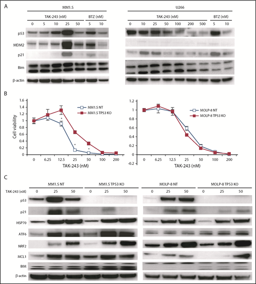 Figure 5. Impact of TAK-243 on the p53 pathway. (A) Accumulation of p53 pathway–related proteins is demonstrated in p53 WT MM1.S cells (left panel) by western blotting, but not in TP53 mutant U266 cells (right). (B) Clustered regularly interspaced short palindromic repeats (CRISPR)/CRISPR-associated protein 9 (Cas-9) methodology was used to generate MM1.S cells in which p53 expression was knocked out, or cells in which a nontargeting (NT) construct was added. These were then compared for their sensitivity to TAK-243 by measuring viability with a tetrazolium-based assay (left panel). MOLP-8 cells in which p53 had been knocked out using sequence-specific zinc finger nucleases (ZFNs) were similarly compared with MOLP-8 cells with a nontargeting ZFN (right panel). Data are presented as the mean plus or minus SD of triplicate experiments; *P < .05 when compared with controls. (C) The impact of TAK-243 on selected p53 pathway and stress-response proteins was evaluated in these p53 WT and KO cells by western blotting.