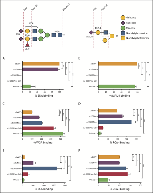 Figure 1. Generation of lectin plate-binding assays to assess plasma VWF glycan expression. (A-F) Lectin plate-binding assays were validated by assessing binding to a series of different VWF glycoforms generated by ex vivo treatment of purified pdVWF with specific exoglycosidases (summarized in schematic). After glycosidase digestions, residual glycan expression on VWF glycoforms were analyzed using SNA (A), MAL-II (B), WGA (C), RCA-I (D), ECA (E), and UEA-I (F). pdVWF was digested with α2-3 neuraminidase (purple bars), α2-3,6,8,9-neuraminidase (blue bars), α2-3,6,8,9-neuraminidase followed by β1-4 galactosidase (red bars), or PNGase F (green bars), respectively. All ELISAs were performed in triplicate, and results were expressed as a percentage of binding to untreated pdVWF. Results presented represent the mean values ± standard error of the mean. *P < .05; **P < .01; ***P < .001; Mann-Whitney U test. ns, not significant.