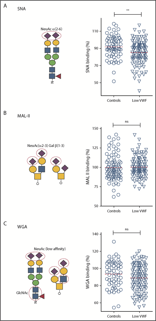 Figure 3. Terminal α(2-6)-linked sialylation on VWF is significantly reduced in patients with low VWF compared with controls. Lectin plate-binding ELISAs were performed in plasma samples collected from 110 patients with low VWF (▿) and compared with O blood group-matched control subjects (○). N- and O-linked sialylation on VWF were assessed using the lectins SNA, MAL-II, and WGA. As indicated in the illustrations, SNA (A) binds preferentially to terminal α(2-6)-linked sialic acid (NeuAc), which is predominantly expressed on the N-glycans of VWF; MAL-II (B) has affinity for terminal α(2-3)-linked sialic acid expressed on the O-glycans of VWF; and WGA (C) binds to sialic acid with a preference for α(2-3)-linked rather than α(2-6)-linked sialic acid residues, but also recognizes exposed N-acetylglucosamine (GlcNAc) residues. All ELISAs were performed in duplicate and results expressed as a percentage of binding to reference plasma (100%), using the slope of different dilutions. SNA binding was significantly reduced in patients with low VWF compared with controls. **P < .01, Mann-Whitney U test.
