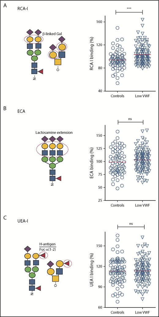 Figure 4. β-Gal expression is significantly increased in patients with low VWF compared with controls. Additional lectin plate-binding ELISAs were performed to further characterize VWF glycan expression in patients with low VWF (▿) compared with O blood group-matched control subjects (○). As indicated in the illustrations, RCA-I (A) binds to exposed terminal β-linked Gal residues; ECA (B) also binds to Gal residues, particularly those present in polylactosamine repeat structures; UEA-I (C) recognizes the ABO blood group, H-antigen, on VWF. All ELISAs were performed in duplicate and results expressed as a percentage of binding to reference plasma (100%) using the slope of different dilutions. RCA-I binding was significantly increased in patients with low VWF compared with controls. ***P < .001, Mann-Whitney U test.