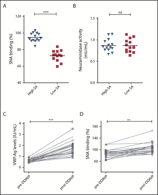Figure 5. Etiology underlying reduced α(2-6)-linked sialylation in patients with low VWF. (A-B) To investigate the pathophysiology involved in the reduction in α(2-6)-linked sialylation on VWF in low-VWF patients. (A) Two subsets of low-VWF patients were defined with highest (blue) and lowest (red) levels of SNA binding (sialic acids) to VWF (n = 13-14 in each group). (B) Plasma neuraminidase activity was not significantly different between the 2 subgroups (ns = not significant). (C-D) To study endothelial cell sialylation of VWF in patients with low VWF, samples were collected from a subgroup (n = 23) of LoVIC patients immediately before and 1 hour after DDAVP administration. (C) All patients demonstrated significantly increased plasma VWF:Ag levels post-DDAVP (median, 61.2 vs 174.2 IU/dL; ***P < .001). (D) SNA binding to VWF secreted after DDAVP was significantly elevated compared with circulating steady-state plasma VWF (median, 87.3% vs 103.3%; **P < .01).
