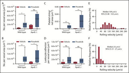 Figure 5. Microvascular platelet and leukocyte recruitment on intravital microscopy. Box-whisker plots for intravital microscopy data from the cremasteric microcirculation of vehicle (sham) or ponatinib-treated wild-type and ApoE−/− mice illustrating the number of platelets adhering to the microvascular endothelium (A), the number of platelet strings or nets (B), the area of adherent platelet strings or nets (C), and the number of leukocytes adhered in postcapillary venules (D). *P < .05; **P < .01. (E-F) Histograms illustrating the distribution of leukocyte rolling velocities in cremasteric venules for ApoE−/− mice on a WSD for animals treated with vehicle (E) or ponatinib (F). Rolling velocity was slower for ponatinib-treated mice (P < .01 by Mann-Whitney rank-sum test). ns, not significant.