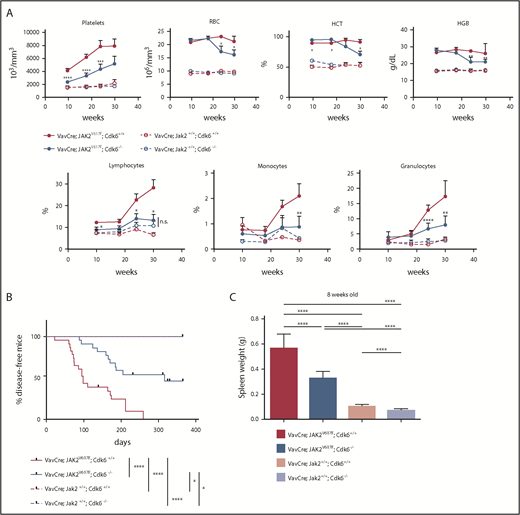 Figure 1. Cdk6 deletion ameliorates symptoms associated with JAK2V617F mutation. (A) Time course of blood counts of transgenic mice (n = 6 per genotype). Results are presented as means + standard deviation (SD). Two-way analysis of variance (ANOVA) with subsequent Bonferroni posttest was used, and significance between VavCre; JAK2V617F; Cdk6+/+ and VavCre; JAK2V617F; Cdk6−/− is indicated. *P < .05; **P < .01;***P < .001; ****P < .0001. HCT, hematocrit; HGB, hemoglobin; n.s., not significant; RBC, red blood cells. (B) Survival of mice is shown as Kaplan-Meier curves. The experiment was terminated after 365 days. Mean survival, 98 days (VavCre; JAK2V617F; Cdk6+/+), 316 days (VavCre; JAK2V617F; Cdk6−/−). Log-rank test was used for statistical comparison. *P < .05; ****P < .0001. The group sizes were n (VavCre; JAK2V617F; Cdk6+/+) = 23, n (VavCre; JAK2V617F; Cdk6−/−) = 23, n (VavCre; Jak2+/+; Cdk6+/+) = 10, and n (VavCre; Jak2+/+; Cdk6−/−) = 10. (C) Spleen weights at 8 weeks of age are depicted. The group sizes were n (VavCre; Jak2+/+; Cdk6+/+) = 19, n (VavCre; JAK2V617F; Cdk6+/+) = 15, n (VavCre; JAK2V617F; Cdk6−/−) = 13, and n (VavCre; Jak2+/+; Cdk6−/−) = 15. Error bars indicate + SD. One-way ANOVA with subsequent Bonferroni posttest was used, and significance is indicated. **P < .01; ****P < .0001.