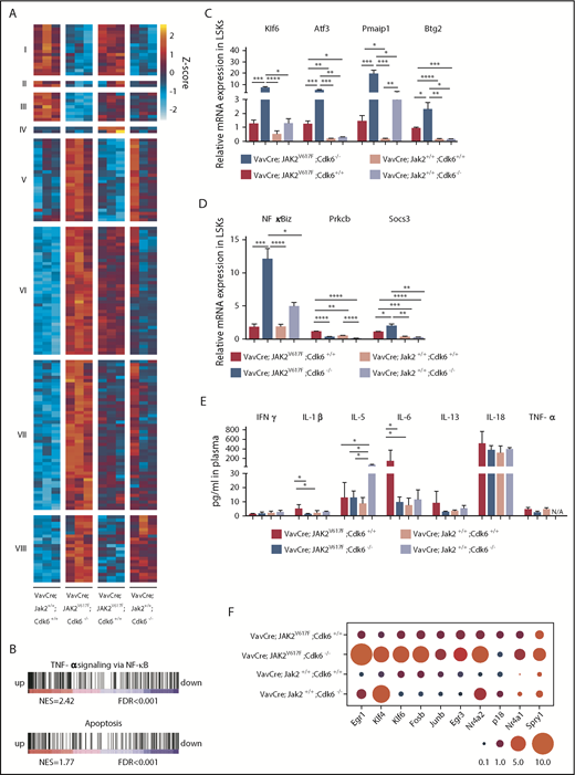 Figure 6. CDK6 acts as a central node in apoptotic network, NF-κB signaling, and HSC activation in JAK2V617F mutant LSKs. (A) Heat map shows differentially expressed genes from LSKs of indicated genotype (adjusted P ≤ .05; absolute log2-fold changes >1; contrast: VavCre; JAK2V617F; Cdk6−/− vs VavCre; Jak2+/+; Cdk6+/+). Regularized log-transformation of count data was used as input for the heat map. For full data set, see supplemental Figure 9B and supplemental Table 1. Color code: red, upregulation; blue, downregulation. n = 3 per genotype. (B) Gene set enrichment analysis for gene expression signatures of apoptosis and TNF-α signaling via NF-κB in LSKs of VavCre; JAK2V617F; Cdk6−/− compared with VavCre; JAK2V617F; Cdk6+/+. For full data set, see supplemental Figure 8D. Color code: red, upregulation; blue, downregulation. FDR, false discovery rate; NES, normalized enrichment score. (C-D) Expression of indicated genes was determined by quantitative real time polymerase chain reaction in LSKs of respective genotype. Relative expression levels were normalized to the housekeeping genes Rplp0 and Hprt. Results are presented as means + SD (n = 3 per genotype). One-way ANOVA with subsequent Bonferroni posttest was used, and significance is indicated. *P < .05; **P < .01; ***P < .001; ****P < .0001. (E) Levels of indicated proinflammatory cytokines were measured in plasma samples of respective genotype. Error bars indicate + SD (n ≥ 5 per genotype). One-way ANOVA with subsequent Bonferroni posttest was used, and significance is indicated *P < .05. IFN, interferon; N/A, not detected. (F) Bubble plot showing relative mRNA levels for indicated genes determined by quantitative real time polymerase chain reaction in LSKs (n = 3 per genotype). Relative expression levels were normalized to the housekeeping genes Rplp0 and Hprt. Circled area corresponds to relative expression. Significance is indicated in supplemental Figure 9C.