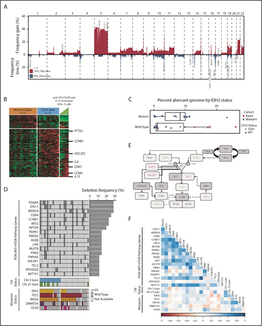 Figure 2. CN analysis in AITL. (A) Frequency of chromosomal gains and losses in AITL tumors quantified using Nexus Copy Number. Candidate genes within aberrant loci are indicated. (B) Heat map of differentially expressed genes (P < .05) located on chr5 between cases with and without a chr5 gain. (C) Percent aberrant genome segregated on mutation status of IDH2R172 in AITL cases. Asian and Western cohorts are distinguished by color, whereas CN state of chr5 is indicated by shape. (D) Genes involved in the PI3K–AKT–mTOR pathway that are deleted in ≥10% of AITL cases and their association with frequent CNAs and mutations, which are indicated below. (E) PI3K–AKT–mTOR schematic diagram with striped patterned genes deleted in AITL at a frequency ≥ 10%. Genes in red are negative regulators, and genes in green are positive regulators. (F) Matrix of Pearson correlation coefficients for co-occurring genomic abnormalities and mutations in AITL.