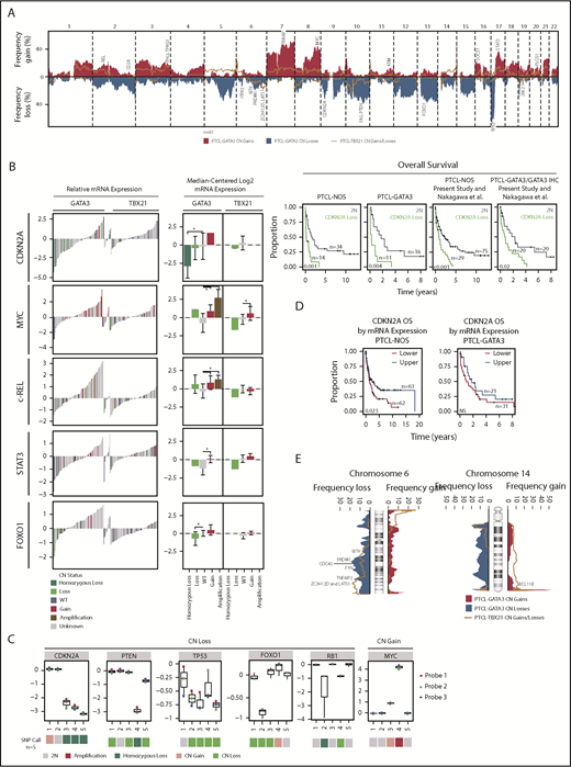 Figure 3. CN and expression analysis in molecular subgroups of PTCL. (A) Frequency of chromosomal gains and losses found in PTCL-GATA3 and PTCL-TBX21 tumors. Candidate genes in focal regions are indicated. (B). The relative mRNA expression (n = 157, previously molecularly classified PTCL-NOS7,8) and median-centered log2 mRNA expression (n = 47, CN cases with Affymetrix HG-U133 Plus2 gene expression data) of select recurrently aberrant genes with differential gene expression relative to DNA CN status. In the relative mRNA expression plots (left panel), colored bars (except gray) indicate cases included in the present CN analysis. Kaplan-Meier curves comparing specific gene aberrations in the PTCL-NOS entity, PTCL-GATA3 subgroup, and combined with a previously published PTCL-NOS series23 are included for CDKN2A, which tended to be associated with poor OS. (C) Validation of genes within recurrent loci observed in the PTCL-GATA3 subgroup using the NanoString Cancer CNV assay. (D) Kaplan-Meier curves comparing the upper vs lower halves of CDKN2A mRNA expression from all molecular PTCL-NOS cases with GEP and outcome data (n = 125) from (B) (left panel) and only in PTCL-GATA3 (n = 52; right panel). (E) Frequency plots of chr6 and chr14 alterations, which have differential regions of abnormality in PTCL-GATA3 and PTCL-TBX21 subgroups. Candidate target genes within the regions are noted.