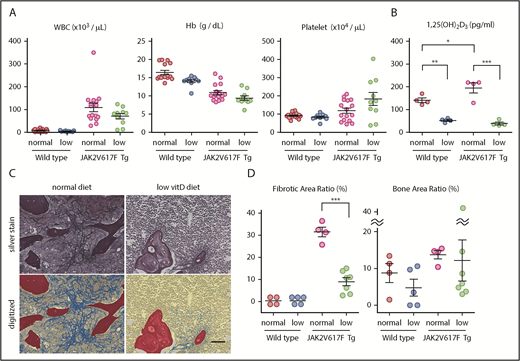 Figure 6. Low vitamin D diet prevents myelofibrosis in JAK2V617F Tg mice. (A-D) Blood cell counts (A; n = 9-15), plasma 1,25(OH)2D3 levels (B; n = 4), and silver staining in femur sections (C) of JAK2V617F Tg mice at 22 weeks old that were fed with a normal or low vitamin D diet after weaning. Pictures of the metaphysis were digitized to distinguish fibrosis (blue), trabecular bone (red), and hematopoietic area (yellow; C) and enumerated as the ratio of each area (D; n = 4-7). Scale bar, 50 μm. Representative pictures or combined data of at least 3 independent experiments are shown. Data are represented as mean plus or minus SEM. *P < .05, **P < .01, ***P < .001 (ANOVA).