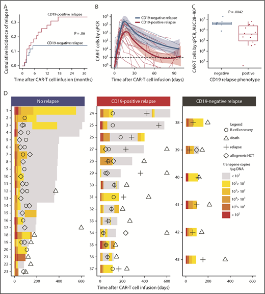 Figure 4. Relapse after treatment with CD19 CAR T cells. (A) Cumulative incidence of CD19+ (red line) and CD19– (blue line) relapse after CD19 CAR T-cell therapy. (B-C) Patients who subsequently developed CD19+ relapse had a lower peak (4.34 vs 5.18 log10 transgene copies per μg of DNA; P = .034) and AUC from day 28 to day 90 (AUC28-90; 5.47 vs 6.60 log10 transgene copies per μg of DNA; P = .0042) of CAR T cells in the blood compared with those who developed CD19– relapse. (B) Each thin line represents a single patient; the bold lines represent the averaged data using LOESS curve fitting approximation with the standard error shown in pink and light blue. (D) Swimmer plots demonstrating CAR T-cell counts in the blood from day 0 to day 600 in patients who either did not relapse (left) or who relapsed with CD19+ (center) or CD19– (right) disease. The timing of B-cell recovery (Ο), relapse (+), allogeneic HCT (⋄), and death (Δ) are shown. Patients 17, 27, 29, and 34 died on days 608, 818, 1079, and 1174, respectively. All patients who developed CD19– relapse (right panel) had detectable levels of CAR T cells in the blood at the last time point before relapse and ongoing B-cell aplasia. CAR T-cell counts in the blood were measured by qPCR to detect FlapEF1α and are reported as transgene copies per μg of DNA in the color-coded legend. Patients 24, 25, 26, 28, 30, 32, 33, 34, 35, and 36 received a second infusion of CAR T cells after relapse.