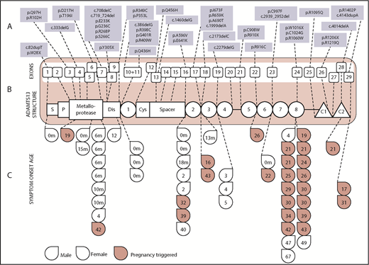 Figure 1. Disease-causing mutations were spread along the length of the ADAMTS13 gene. (B) The structure of the ADAMTS13 protein is shown in the red box in the middle of the diagram along with the 29 exons that make up the ADAMTS13 gene encoding for it. (A) The top third of the diagram shows all of the ADAMTS13 variations seen by exon, with novel mutations denoted in bold text. (C) The bottom third shows the age of symptom onset according to mutation location. Red drops denote those presenting in pregnancy. Only patients with mutations confined to a single exon are included. C1 and C2, type 1 and 2 CUB domains; Cys, cysteine rich; Dis, disintegrin; P, propeptide; S, signal peptide. Adapted from Zheng et al.10