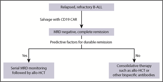 Potential strategy for monitoring patients with MRD acute lymphoblastic leukemia after CAR T-cell therapy, based on predictive factors for EFS.