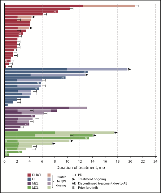 Figure 4. Duration of monotherapy treatment. QW, once weekly