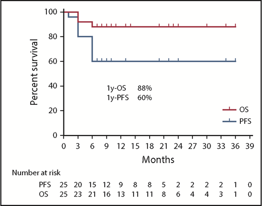 Figure 3. OS and PFS of 25 cases with the TCP regimen.