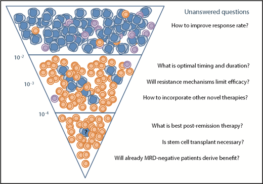Figure 1. Challenges of blinatumomab for MRD in ALL. Decreasing levels of MRD with increasing ratio of effector T cells (orange) to leukemia cells (blue). Regulatory T cells are indicated in purple.