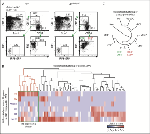 Figure 1. Identification of IRF8-expressing LMPPs. (A) Flow cytometry analysis of HSCs and early progenitors in IRF8-GFP mice. Data are representative of 5 independent experiments. (B) Hierarchical clustering of scRNA-seq data in WT LMPPs. Transcription factor genes upregulated or downregulated more than fivefold in LMPPs compared with CDPs were selected. Red and blue gene symbols denote upregulated and downregulated genes in CDPs, respectively. The Irf8 transcript-expressing cluster is enclosed by a green rectangle. (C) Hierarchical clustering of microarray transcriptome data in hematopoietic populations. Mo, monocyte; neu, neutrophil.