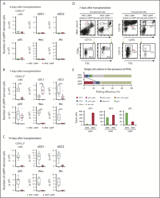 Figure 2. Differentiation potential of IRF8+ LMPPs in vivo. Flow cytometric analysis of splenic DC subpopulations, monocytes, and neutrophils 4 days (A), 7 days (B), or 10 days (C) after intravenous transplantation of LMPP subpopulations. A total of 1000 LMPPs (CD45.2+) were transplanted into irradiated Ly5.1 mice (CD45.2−), and donor-derived (CD45.2+) cells were analyzed. Absolute cell numbers (per spleen of a mouse) of the indicated progeny cells derived from transplanted LMPPs are shown in the boxplots. (A-C) Values from 3 independent experiments are shown. Representative FACS plots of cDCs (D, left) and monocytes and neutrophils (D, right) on day 7. (E) Single-cell differentiation analysis of LMPP subpopulations. LMPP subpopulations were single cell-sorted into 96-well plates and cultured with Flt3L for 7 days. Following staining, cells were analyzed by flow cytometry. A total of 192 single cells of each subpopulation were analyzed. cDC1, cDC2, and pDC differentiation potential in single LMPPs was determined from the staining patterns of cells (top). Total cell numbers of indicated DC subsets yielded in 192 wells are calculated (bottom). Data are representative of 2 independent experiments with similar results. *P < .05, **P < .01, ***P < .001 (Student t test). MHC, major histocompatibility complex.