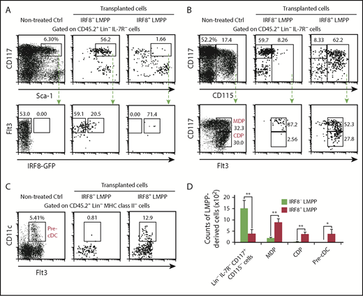 Figure 3. IRF8+ LMPPs are derived from IRF8− LMPPs. Flow cytometric analysis of bone marrow progenitors 3 days after intravenous transplantation of LMPP subpopulations. A total of 30 000 LMPPs were transplanted into a nonirradiated Ly5.1 mouse, and donor-derived cells were analyzed. Representative FACS plots of donor-derived LMPP subpopulations (A), MDPs (B), CDPs (B), and pre-cDCs (C) from 3 independent experiments. (D) Absolute cell numbers (per lower mouse limbs) of the indicated progeny cells derived from transplanted LMPPs are calculated. Values in the bar graph are the mean ± standard deviation from 3 independent experiments. *P < .05, **P < .01, ***P < .001 (Student t test).