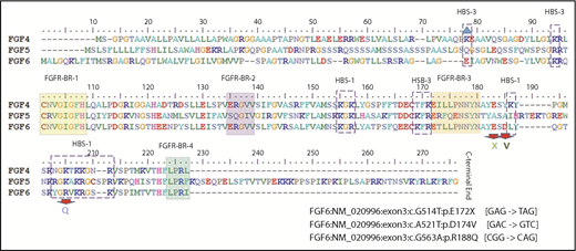 Figure 2. Protein sequence alignment for FGF-4, FGF-5, and FGF-6 with heparin and FGFR-binding domains. Protein domains summarized from a previous FGF-6 functional study.58 Alignment and heparin and FGFR-binding sites/regions (HBS and FGFR-BR, respectively) are shown for FGF-4, FGF-5, and FGF-6 proteins.