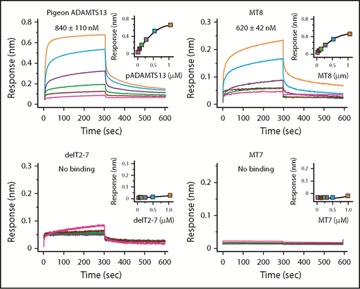 Figure 4. Binding of ADAMTS13 variants to VWF D4. Biolayer interferometry sensorgrams, steady-state analyses, and Kd values ± standard error are shown for the indicated ADAMTS13 proteins binding to His-tagged VWF D4-CK immobilized on Ni-NTA biosensors.