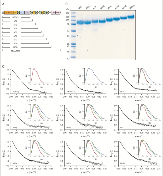 Figure 1. SAXS data for ADAMTS13 and C-terminal truncations. (A) Schematic structure of ADAMTS13 and a nested series of C-terminal truncations. (B) Sodium dodecyl sulfate–polyacrylamide gel electrophoresis of selected purified recombinant ADAMTS13 variants. Lane 1 is Precision Plus Protein All Blue Standards (Bio-Rad). (C) Scattering profiles (black) and P(r) plots (inset) for the indicated pure recombinant proteins. P(r) plots for MDTCSq (red) and ADAMTS13 (FLq: blue) are included in each inset panel for comparison with other truncation constructs (green).