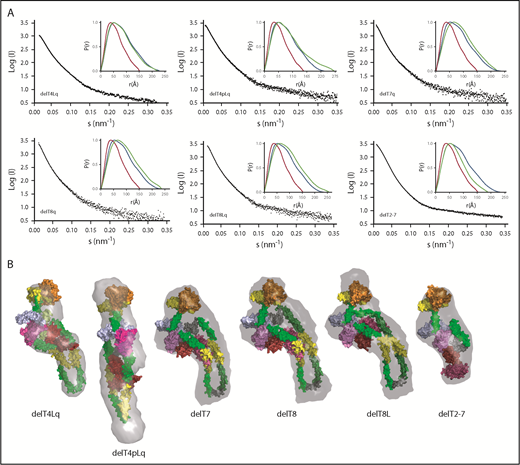 Figure 3. SAXS data, ab initio envelopes, and molecular models of ADAMTS13 internal deletions. (A) Scattering profiles and P(r) plots (inset) for the indicated pure recombinant ADAMTS13 variants. P(r) plots for MDTCSq (red) and ADAMTS13 (FLq: blue) are included in each inset panel for comparison with other deletion constructs (green). (B) Molecular models were fitted into ab initio envelopes (gray surface) calculated from SAXS profiles for the indicated ADAMTS13 constructs.