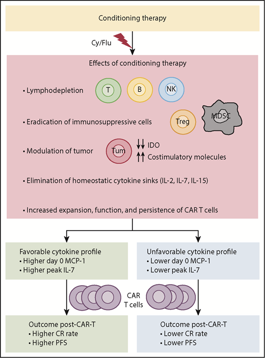 Effects of conditioning therapy and its impact on efficacy of CAR T-cell therapy. IDO, indoleamine 2,3-dioxygenase; MDSCs, myeloid-derived suppressor cells; Tregs, regulatory T cells.