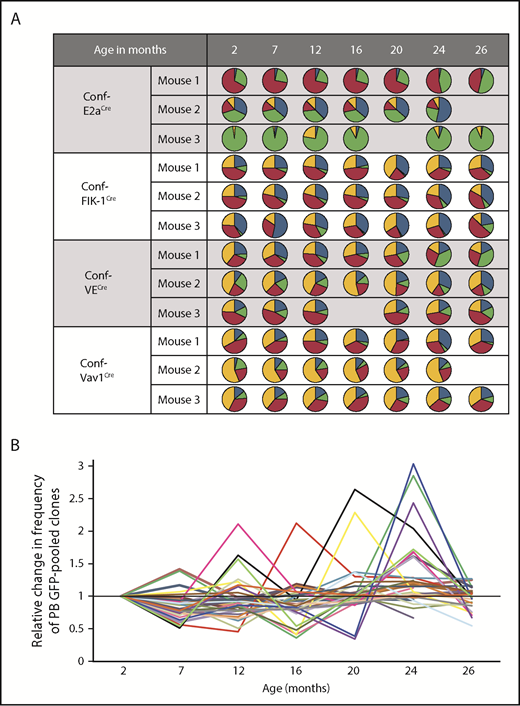 Figure 2. Analysis of pooled clones over time reveals instability in the clonal composition of PB during native hematopoiesis. (A) Visualization of the distribution of GFP, YFP, RFP, and CFP in the PB of representative Conf-E2aCre, Conf-VECre, Conf-Flk1Cre, and Conf-Vav1Cre mice at 2, 7, 12, 16, 20, 24, and 26 months of age. (B) Fold change in the percentage of GFP relative to the preceding time point. Each line represents an independent mouse. Mice from all 4 cohorts are shown: Conf-E2aCre (n = 9), Conf-VECre (n = 7), Conf-Flk1Cre (n = 6), and Conf-Vav1Cre (n = 10). Evolution of percentage of GFP for individual PB lineages is shown in supplemental Figure 2 for each mouse, each mouse strain, and without normalization. Source data are provided in supplemental Table 1.