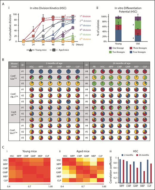 Figure 3. Aging functionally compromises HSCs and erodes the lineage relationships between BM compartments during native hematopoiesis. (A) Single HSCs from 3 independent young or aged mice were individually plated in 96-well plates in media that supports HSC expansion (i; n = 44-67 clones analyzed per mouse) or differentiation media (ii; n = 27-41 clones were analyzed per mouse). (i) Division kinetics for each well were tracked, percentages of the cumulative number of divisions are shown. (ii) Percentages of clones that generate 1, 2, 3, or 4 myeloid lineages (see supplemental Figure 3A). Averages are shown; error bars represent standard deviation (#P < .1). (B) Distribution of Confetti colors in PB and BM in young (age 2 months) and old (age 26 months) mice. Three representative examples are shown for each mouse strain at each time point. (C) Heatmaps summarize the correlation of Confetti color distribution between different hematopoietic compartments in young (i; age 2 months) and old (ii; age 26 months) mice. Heatmaps depict the Pearson correlation coefficient between 2 cell compartments. At 2 months old: Conf-E2aCre (n = 14), Conf-VECre(n = 13), Conf-Flk1Cre (n = 7), and Conf-Vav1Cre (n = 11). At 26 months old: Conf-E2aCre (n = 10), Conf-VECre(n = 5), Conf-Flk1Cre(n = 6), and Conf-Vav1Cre (n = 9). (iii) Correlation values of BM compartments relative to HSCs at 2 and 26 months of age. Paired Student t test of correlation coefficient of cells vs HSCs indicate that the correlations are significantly reduced with age (P = .03) (see also supplemental Figure 3B). Source data are provided in supplemental Table 1.