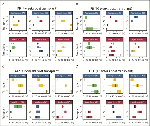 Figure 6. Labeled pooled clones revealed clonal instability during serial transplantation. The average frequency of CFP-, YFP-, RFP-, or GFP-labeled pooled clones in the PB at 4 (A) and 16 (B) weeks and in MPPs at 16 weeks (C) and HSCs (D) at 16 weeks throughout transplantation. Results are shown for each transplanted group (#A-F). Related to Figure 5. Whisker plots show the interquartile range; n ≥ 5 for each transplanted mouse cohort (see supplemental Figure 5 for the distribution of all pooled clones). Source data are provided in supplemental Table 1.