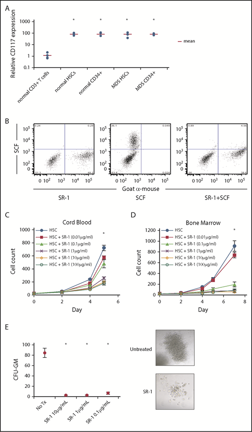 Figure 1. Anti-human CD117 mAb SR-1 blocks SCF binding to CD117 on human HSCs and inhibits human HSC proliferation in vitro. (A) Relative CD117 expression of HSCs (Lin−CD34+CD38−CD90+CD45RA−) and progenitors (Lin−CD34+) from normal BM samples and MDS BM samples from all IPSS-R risk groups. CD117 expression was assessed by mean fluorescence intensity (MFI) by flow cytometry using a commercially available anti-human CD117 mAb, clone 104D2. MFI was normalized to BM CD3+ T cells from healthy subjects, which served as staining control. *P < .001 compared with control CD3+ T cells (Student t test). (B) Pretreatment with SR-1 mAb inhibits binding of fluorescently labeled SCF (SCF-A488) to human CD117. A mixture of CD117-expressing and untransfected fibroblasts were stained with SR-1 mAb (left), SCF-A488 alone (center), or first stained with SR-1 and then subsequently stained with SCF-A488 (right). SR-1 mAb was detected using a fluorescently labeled goat-anti-mouse secondary mAb. (C) SR-1 mAb inhibits proliferation of FACS-purified human UCB-derived HSCs (Lin−CD34+CD38−CD90+CD45RA−) in liquid culture. UCB HSCs were plated via plate-sorting at a density of 25 cells per well in StemSpan media supplemented with SCF, TPO, FLT3L, IL-3, and IL-6, and treated with varying concentrations of SR-1. Cell counts were performed on days 2, 4, and 5 postplating. *P < .001 comparing 100 μg/mL, 10 μg/mL, and 1 μg/mL conditions compared with untreated on day 7 (Student t test). Error bars indicate 1 standard error of the mean. (D) SR-1 mAb inhibits proliferation of FACS-purified human BM-derived HSCs (Lin−CD34+CD38−CD90+CD45RA−) in liquid culture. BM HSCs were plated via plate sorting at a density of 25 cells per well in StemSpan media supplemented with SCF, TPO, FLT3L, IL-3, and IL-6, and treated with varying concentrations of SR-1. Cell counts were performed on days 2, 4, 5, and 7 postplating. *P < .001 comparing 100 μg/mL, 10 μg/mL, 1 μg mL, and 0.1 μg/mL conditions compared with untreated on day 7 (Student t test). Error bars indicate 1 standard error of the mean. (E) SR-1 mAb inhibits colony formation of FACS-purified human UCB-derived HSCs (Lin−CD34+CD38−CD90+CD45RA−) in methylcellulose supplemented with G-CSF and treated with indicated concentrations of SR-1. CFU-GM colony counts were performed 2 weeks after culture initiation. Representative images of the colonies present at 2 weeks are shown (for untreated and 1 μg/mL SR-1). *P < .001 compared with day 0 (Student t test). Error bars indicate 1 standard error of the mean.