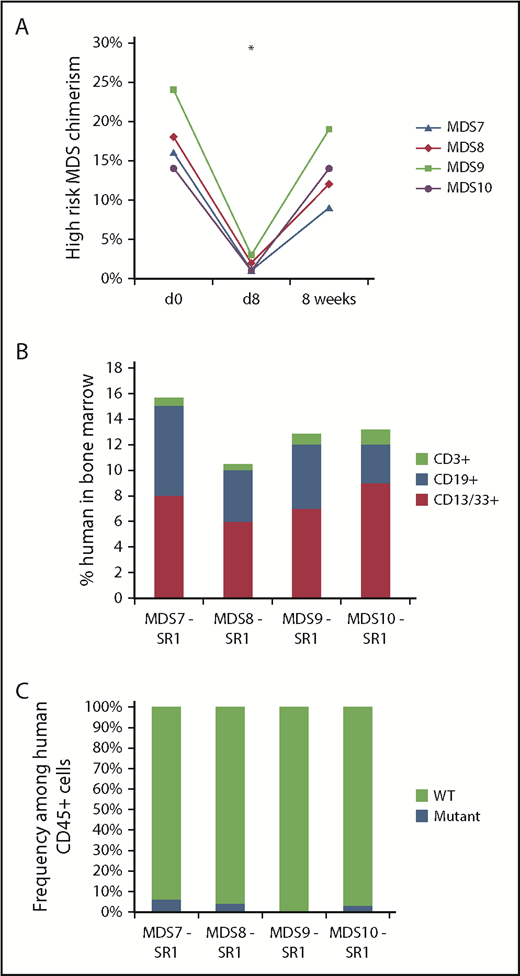 Figure 4. SR-1 transiently depletes high-risk MDS cells and permits engraftment of second human UCB HSC graft in high-risk MDS-xenografted mice. (A) SR-1 transiently depletes human blood cells derived from high-risk MDS HSCs in vivo, as shown by chimerism of human myeloid (hCD13/CD33+) cells on pretreatment day 0 and 8 days and 8 weeks after completion of treatment with 500 μg of SR-1 administered IV on days 1, 3, 5, and 7. *P < .001 compared with day 0 (Student t test) (n = 4, SR-1 treated). (B) Total human chimerism (human CD45+) as well as distribution of myeloid (human CD45+CD13/33+), B-cell (human CD45+CD19+), and T-cell (human CD45+CD3+) chimerism in BM of high-risk MDS-xenografted mice treated with SR-1 mAb on days 1, 3, 5, and 7, and then transplanted on day 15 with a second normal human UCB HSC graft. Chimerism was measured 12 weeks after second normal human UCB HSC transplant (n = 4, SR-1 treated). (C) Frequency of cytogenetically abnormal clone (−7, del(5q), or +8), as detected by FISH within human cells FACS-isolated from BM of high-risk MDS-xenografted mice treated with SR-1 mAb on days 1, 3, 5, and 7 and then transplanted on day 15 with a second normal human UCB HSC graft. Cells were analyzed 12 weeks after second normal human UCB HSC transplant (n = 4, SR-1 treated).