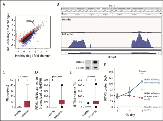 Figure 2. Platelet IFITM3 is increased in patients with H1N1/A influenza infection and correlates with influenza-related mortality. Whole blood samples were drawn from patients with confirmed H1N1/A influenza infection or healthy matched control subjects. Purified platelets were isolated as described in “Methods.” (A) Scatter plot with significantly enriched (red) and repressed (blue) platelet transcripts identified by using RNA-seq (adjusted P < .05). IFITM3 is indicated (enlarged dot). (B) Representative Integrative Genomics Viewer browser images of IFITM3 mRNA expression in a patient with H1N1/A influenza (bottom) or a healthy control subject (top). Representative of n = 3 patients with H1N1/A influenza and n = 3 healthy control subjects. (C) Plasma levels of IFNα in healthy control subjects and patients with H1N1/A influenza. (D) Validation with quantitative RT-PCR for IFITM3 mRNA was performed in platelets isolated from patients with H1N1/A influenza (n = 31) or healthy matched control subjects (n = 24). (E) Immunoblot (top) and densitometric quantification (bottom) of IFITM3 and β-actin expression in platelets from patients with H1N1/A influenza (n = 31) or healthy matched control subjects (n = 24). (F) In a subset of patients with H1N1/A influenza (n = 10), IFITM3 protein in platelets was measured longitudinally on ICU days 1, 4, and 8. Twenty-eight-day infection-related mortality was prospectively captured. Patients with H1N1/A influenza were divided into those who survived their influenza illness (survivors, n = 5) and those who died of their influenza illness before hospital discharge (nonsurvivors, n = 5). The dotted line on the bottom represents the average IFITM3 protein expression in platelets from healthy matched control subjects (n = 14).