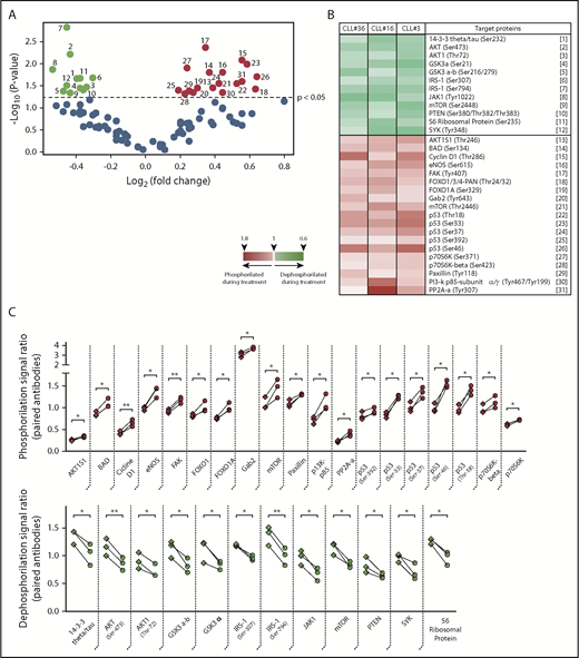 Figure 2. Phosphorylation profile of CD5high/CXCR4low leukemic cells in patients with CLL treated with ibrutinib. Cell sorting purified CD19+/CD5high/CXCR4low cells obtained from PBMC of 3 patients with CLL before and after 4 weeks of ibrutinib therapy were used to perform a phosphoarray analysis. (A) Volcano plot showing the fold change vs the P value obtained for each evaluated phosphorylation site. Black dots refer to sites that did not change after treatment (63 phosphorylation sites). Depicted in color are the sites that were significantly dephosphorylated (green dots, 12 sites) or phosphorylated (red dots, 19 sites) during therapy (P < .05; n = 3; 2-tailed paired Student t test). The reference for each numbered dot is depicted in panel B. (B) Heat map showing the targeted proteins with their corresponding phosphorylation sites in 3 CLL patient samples. Heat map scale is shown at the bottom. (C) Statistically significant changes in phosphorylation rate (red, upper panel) or dephosphorylation rate (green, lower panel) during ibrutinib administration are shown. Each square represents the signal ratio of the antibody against the unphosphorylated form of the site before and after treatment, connected with the round dot for the signal ratio of the phosphorylated form (P < .05; n = 3; 2-tailed paired Student t test). Relevant proteins associated with inactivation of PI3K/AKT, JAK/STAT, and p53 pathway are indicated in bold at the x axes.